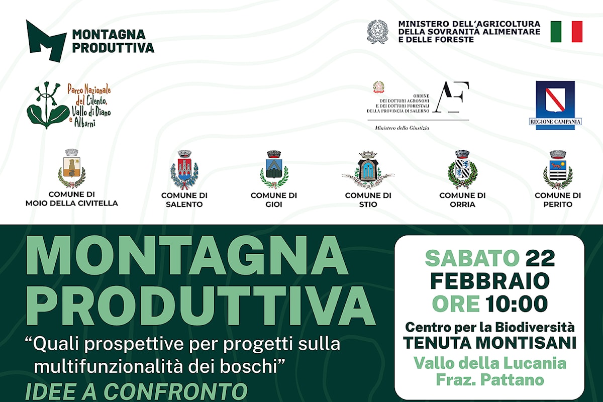 La multifunzionalità dei boschi, progetti e prospettive: sabato 22 febbraio  idee a confronto nell'ambito del progetto Montagna Produttiva