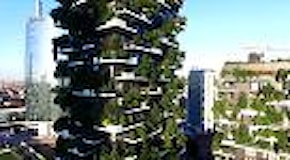 Buon compleanno Bosco verticale, il nuovo simbolo dello skyline di Milano nel mondo