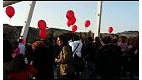 Roma, al ponte della musica flash mob per il One billion rising