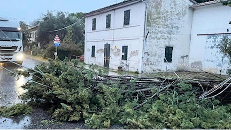 Strage di alberi e strade in tilt, allerta fiumi