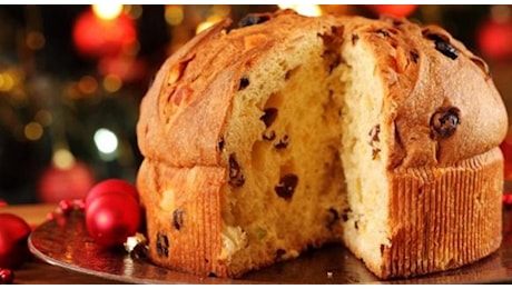 Panettone del supermercato, la classifica dei migliori: chi sale e chi scende, nella top ten 2024 di Altroconsumo anche quello del discount