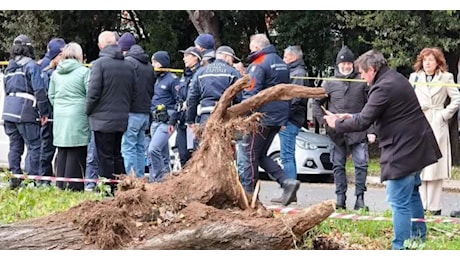 Muore a causa della caduta di un pioppo di 20 metri. Ferrini: Bisogna passare dalla 'cultura del colpevole' alla 'cultura dell'errore'