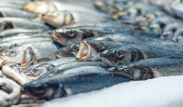 Salute e sostenibilità. Ogni paese dovrebbe mangiare il proprio pescato