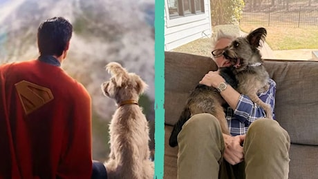 Nel trailer del nuovo Superman compare anche Krypto, il suo super-cane: chi è e qual è la sua vera storia