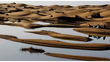 Sahara, alluvione nel deserto dopo 50 anni. Nuovi laghi e pozze d'acqua nelle dune di sabbia