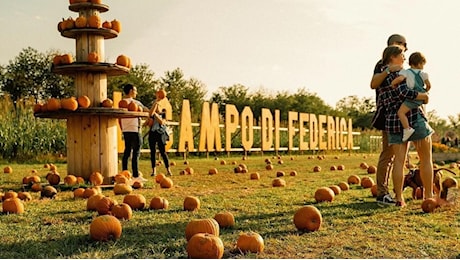 Festival d'autunno al Campo di Federica, zucche e molto altro