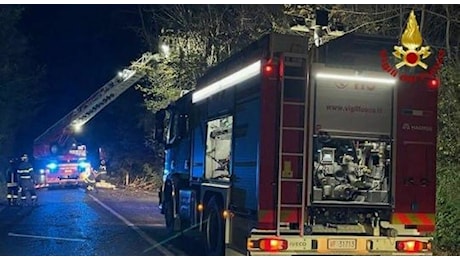 Rami e alberi sulle strade, il forte vento fa cadere anche le impalcature dei cantieri nella provincia di Macerata