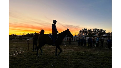 Endurance, Gian Michele Nonne vince la Cei1* dell’International Event di Tanca Regia