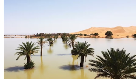 Clima, il Sahara è allagato: mai tanta pioggia da mezzo secolo | FOTO