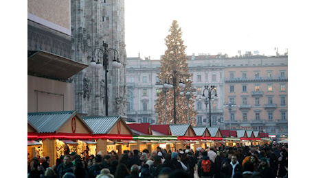 Milano si prepara al Natale: 27 alberi e l’abete dei Giochi 2026 in piazza Duomo