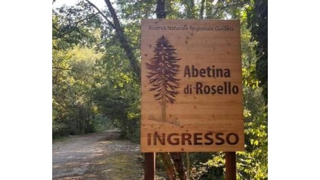 Caccia al cervo rinviata di un mese, Rosello pronto a ospitare alcuni esemplari nell'Abetina