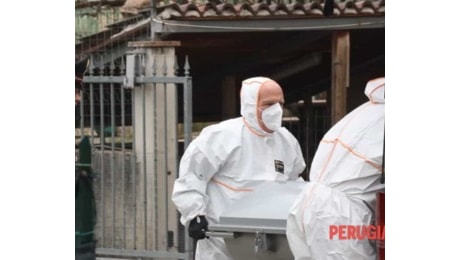 Gualdo Tadino, marito e moglie trovati morti in casa, indagini in corso: ipotesi femminicidio - suicidio