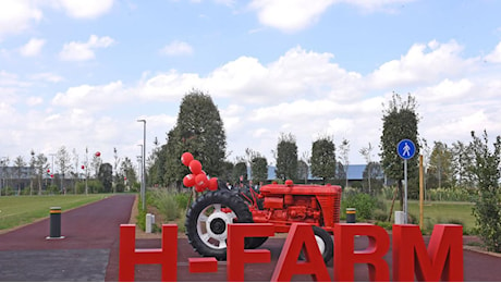 H-Farm, il patto di minoranza impugna l'aumento di capitale