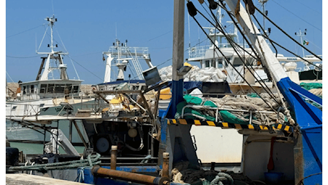 L’individualismo nella pesca: un freno per lo sviluppo