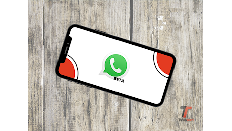 WhatsApp prova a bloccare i contatti sconosciuti sospetti, automaticamente