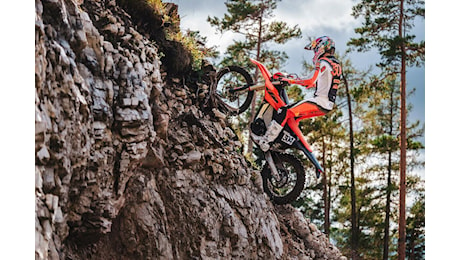 KTM Freeride E 2025: l'elettrica da off-road si aggiorna. Ecco come [VIDEO E GALLERY]