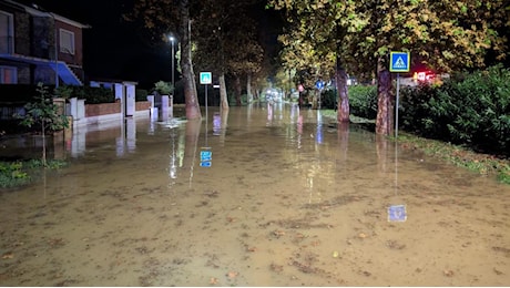 “Dobbiamo buttare via tutto”. Nubifragio a Cecina, disastro di acqua e fango