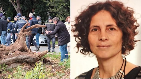 Chi era Francesca Ianni, uccisa da un albero a Roma: gli studi, l’insegnamento e la vita a Bruxelles