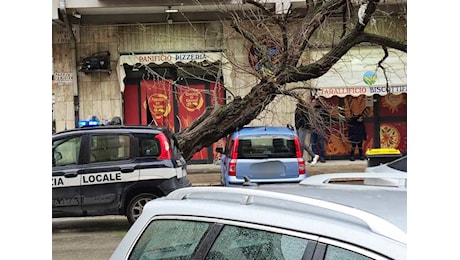 Maltempo nel Foggiano, vento forte abbatte un albero nel capoluogo. Traffico bloccato sulla A14