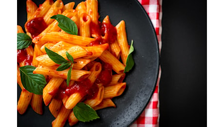 Bucatini all'amatriciana. World pasta day 2024: primi piatti più amati dai turisti stranieri