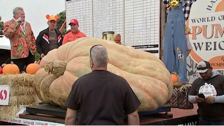 Halloween, in Minnesota una delle zucche più grandi del mondo