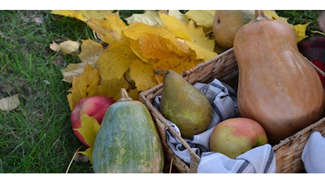 La spesa di stagione: frutta e verdura di ottobre, quale scegliere per mangiare meglio