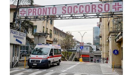 Biella, in gravi condizioni bimbo di 8 anni morso alla testa da cane