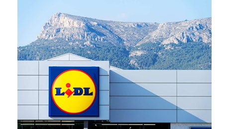 Scopri le piante Lidl in offerta questo weekend: prezzi imbattibili!