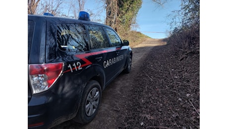 Arezzo, Letizia esce e scompare: trovata morta in un campo con ferita alla testa, ipotesi omicidio