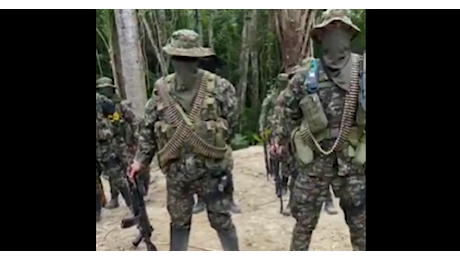 Gruppo paramilitare colombiano: “Non abbiamo ucciso noi Alessandro Coatti”