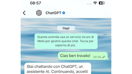 ChatGPT sbarca su WhatsApp: da oggi si messaggia con l’IA