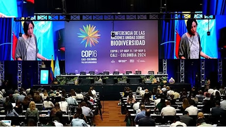 Conclusa senza accordi la Cop16 in Colombia