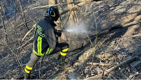 Incendio boschivo a Vestreno, vigili del fuoco in azione