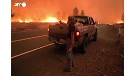 Incendi: Usa, in California bruciati quasi 100mila ettari