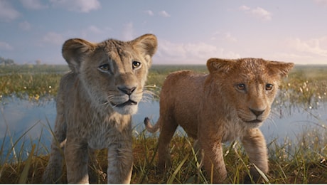 Mufasa: Il Re Leone, la vera storia del papà di Simba