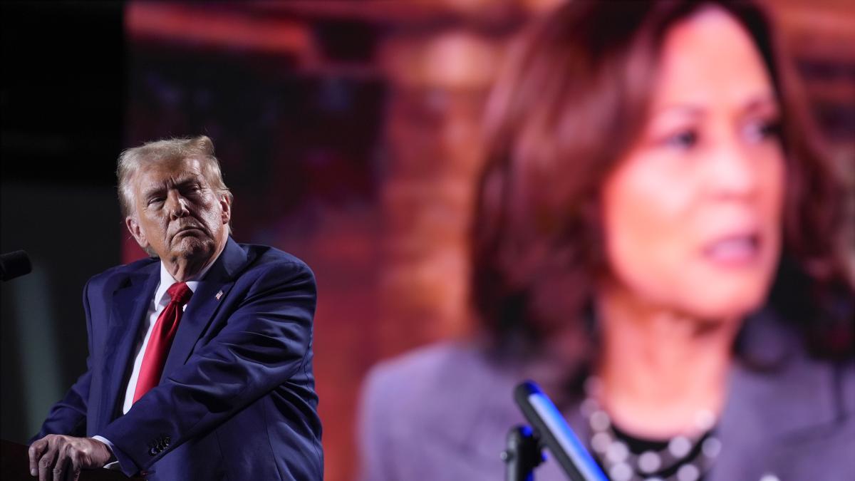 Trump - Harris, Le Ultime Notizie Sulle Elezioni Usa In Diretta | La ...