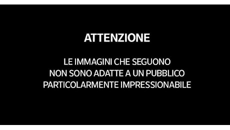 Mestre, la seconda rapina del moldavo che ha ucciso Giacomo Gobbato, prova scippo di una borsa a una donna - VIDEO