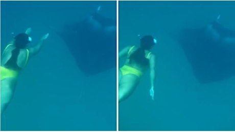 Il video del 2022 in cui la surfista Giulia Manfrini nuotava sott'acqua con un pesce razza