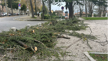 Urbino e le Marche sferzate dal vento. Per tutta la notte Vigili del fuoco al lavoro. Le raffiche fino a 126 km/h