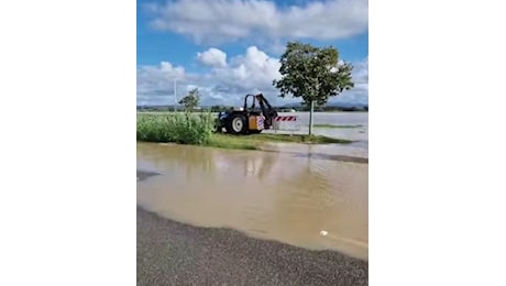 Il fiume Cecina esonda, allagamenti e disagi