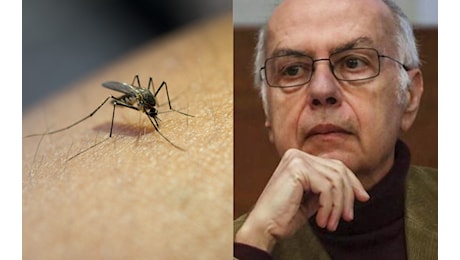 Il caso di malaria in Veneto non è autoctono, Rezza: Il punto è capire lo scenario in Italia