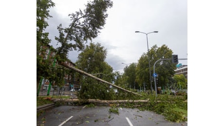 Allerta vento a Milano: 'Non sostate sotto gli alberi o nei viali'