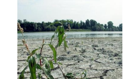 Emergenza siccità, il Lazio a corto d’acqua. E Roma preoccupa