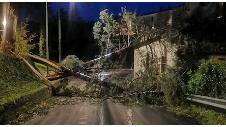 Forti raffiche di vento in tutte le Marche: danni a alberi, insegne e impalcature. Numerosi interventi nella notte ► Gli aggiornamenti in tempo reale