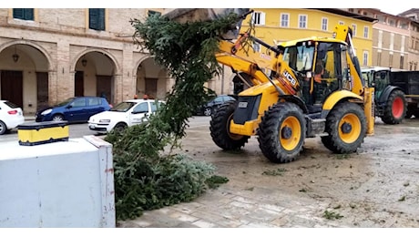 San Severino, non solo il grande abete in piazza: il vento abbatte alberi e pali telefonici, disagi sulle strade