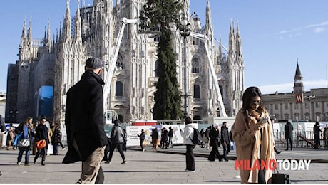 Iniziati i lavori per l'albero in Duomo a Milano: le Olimpiadi Milano Cortina tra gli sponsor