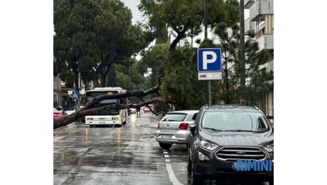 Venti forti sull'entroterra romagnolo: scatta l'allerta meteo arancione