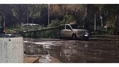 Maltempo a Palermo, alberi caduti sulle auto e voragini per strada