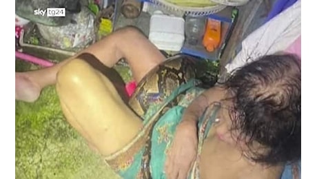 Una donna thailandese è stata salvata dalle spire di un pitone di 4 metri. VIDEO