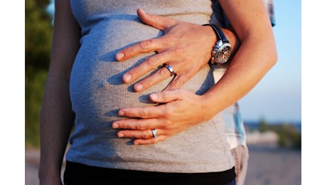 Reddito di maternità, la proposta di Forza Italia: mille euro al mese per le neo mamme
